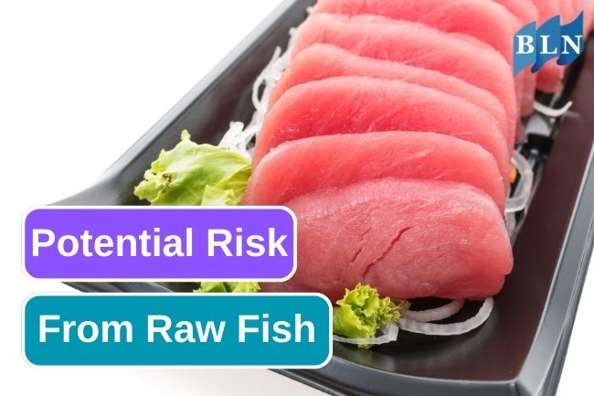These Are Potential Risk From Eating Raw Fish